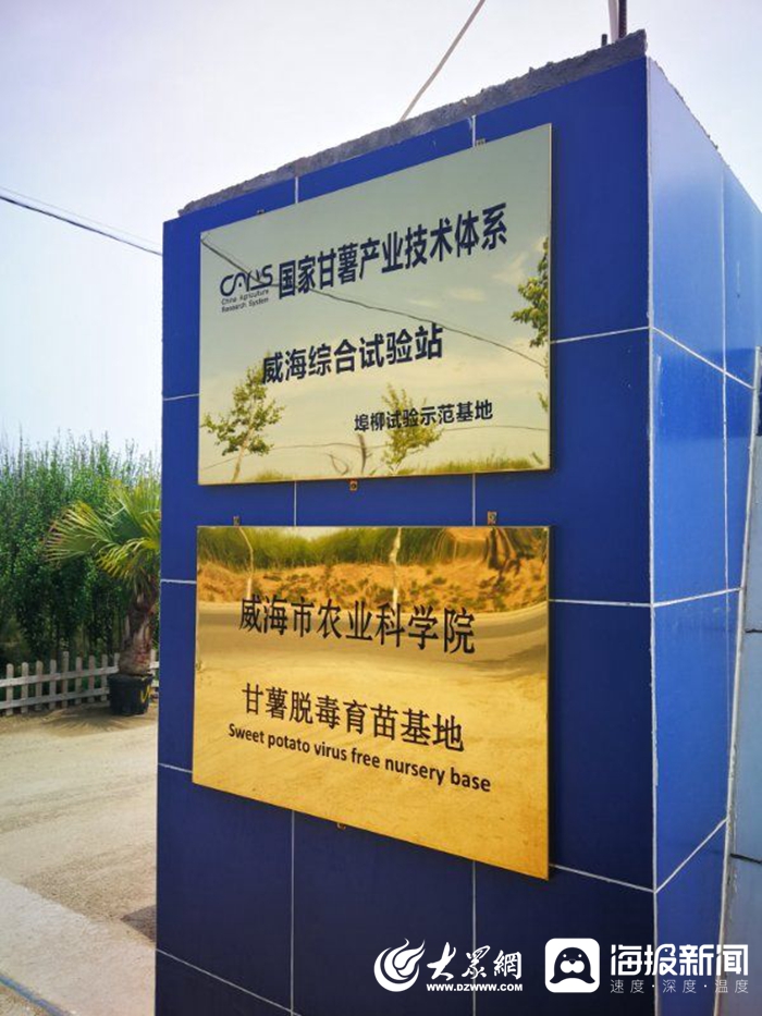 信息化賦能扶貧攻堅，激活鄉村振興新引擎