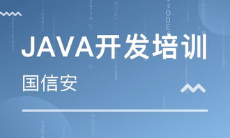 成都四川國(guó)信安職業(yè)培訓(xùn)學(xué)校 河北新聞網(wǎng)推薦品牌，專注軟件外包服務(wù)